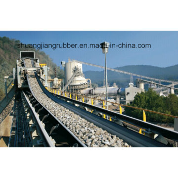 Whole Core Flame Retardant Conveyor Belt PVC/Pvg Mt 914-2008